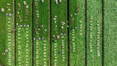 中国青年农民玩转现代农业